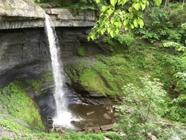 Bahar Nature Preserve image 1