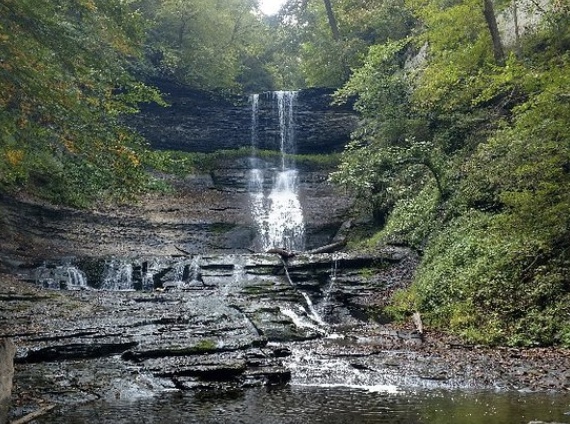 Bahar Nature Preserve  image 3