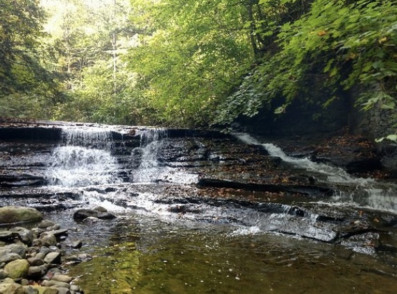 Bahar Nature Preserve  image 4