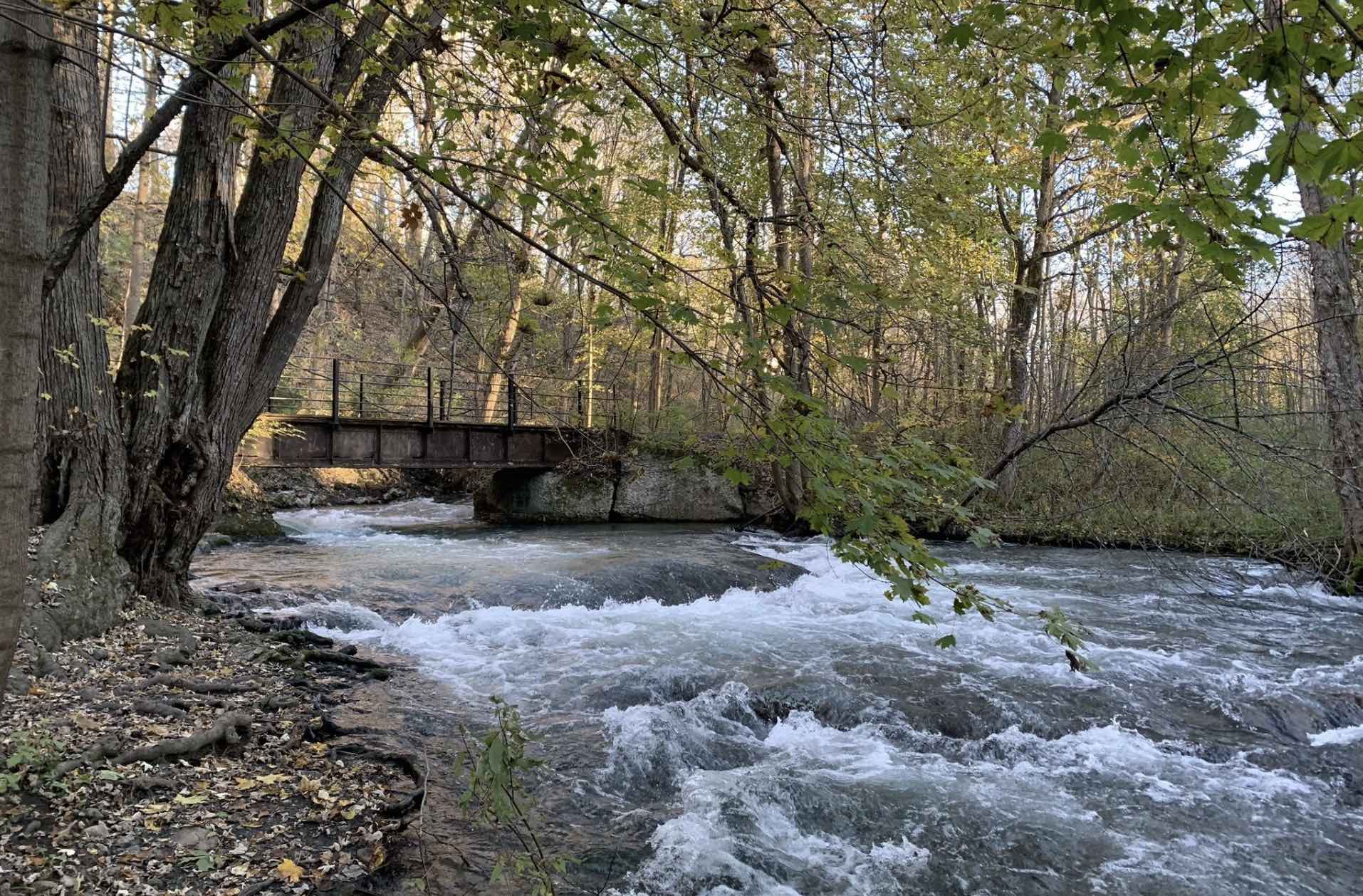 Charlie Major Nature Trail image 1