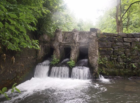 Charlie Major Nature Trail image 2