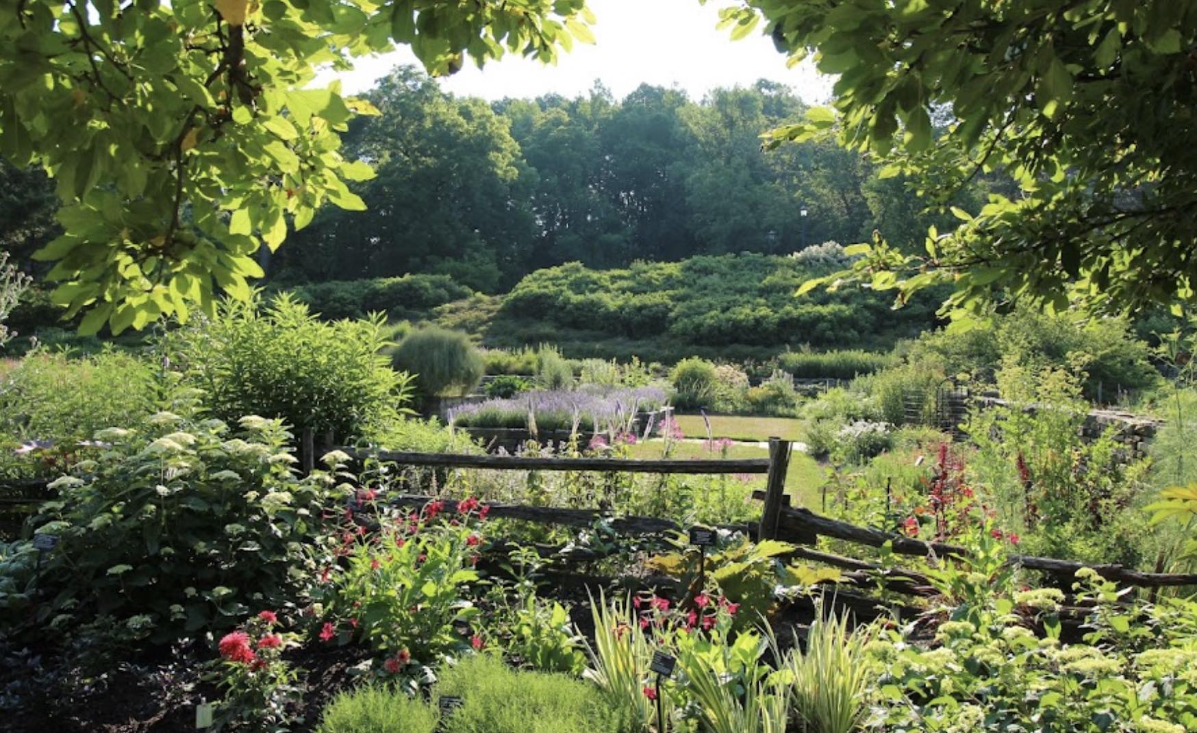 Cornell Botanic Gardens image 1