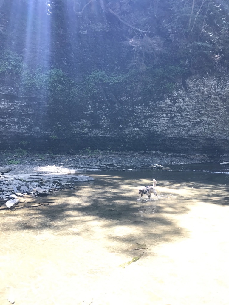 Robert H Treman State Park image 3